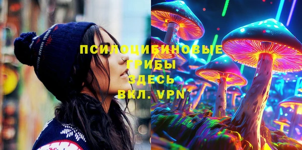 мяу мяу мука Анжеро-Судженск