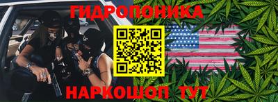 таблы Гатчина